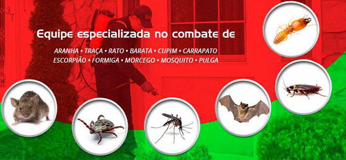 DEDETIZAÇÃO