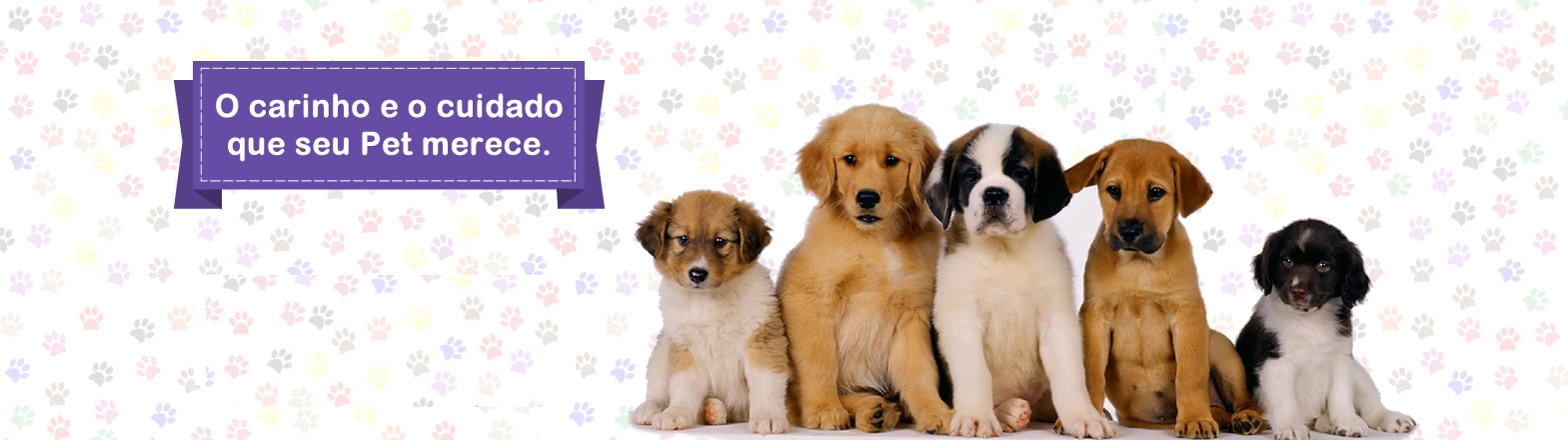 BANNER.PET